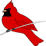 Cardinal 3