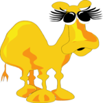 Camel 07