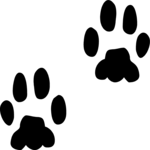Paw Prints 7