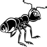 Ant 08 Clip Art