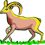 Sheep - Bighorn 2 Clip Art