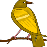 Bird Perched 66