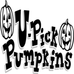 U-Pick Pumpkins