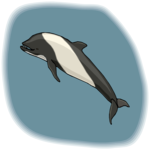 Porpoise 2