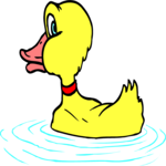 Duck in Water