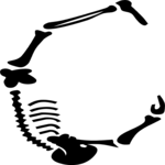 Skeleton C Clip Art