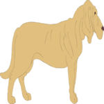 Bloodhound 1