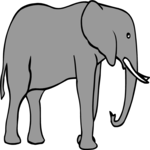 Elephant 13