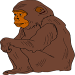 Chimp 01