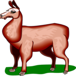 Llama 4