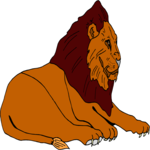 Lion 11