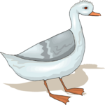 Goose 22