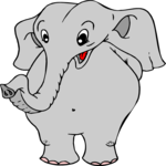 Elephant 16