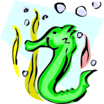 Seahorse 6