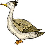 Bird 153