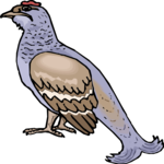 Bird 168