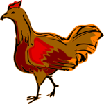 Chicken 09