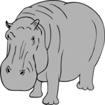 Hippo 04