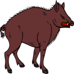 Boar 5