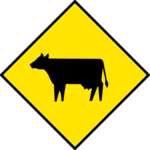 Caution - Cattle Crossing 2
