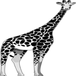 Giraffe 01