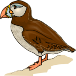 Puffin 09