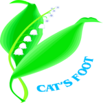 Cat's Foot