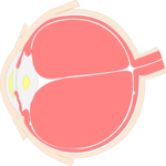 Eye - Inner 3