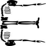 Skeleton E Clip Art