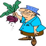 Man Pulling Turnips Clip Art