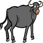 Bull 12