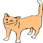 Cat 16