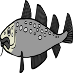 Fish 079