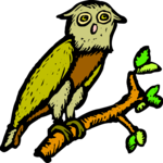 Owl 25 Clip Art