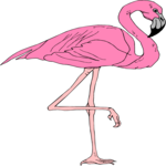 Flamingo 02