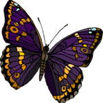 Butterfly 124