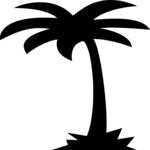 Palm Tree 37