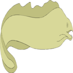 Eel - Moray 3 Clip Art