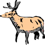 Deer 1