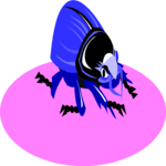 Beetle 15