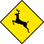 Caution - Deer Crossing 2