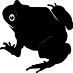 Frog 02