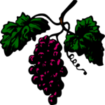 Antique Style Grapes 1