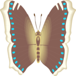 Butterfly 046