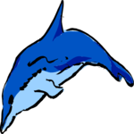 Dolphin 2