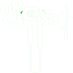 Nephron