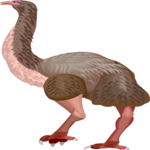 Dinornis 1 Clip Art