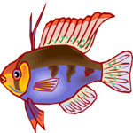 Cichlid - Dwarf 5