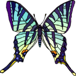 Butterfly 051