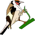 Bird 202 Clip Art